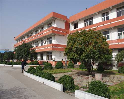 2026年肥胖女性做试管婴儿成功率高吗？深度解析辅助生殖助孕注意事项