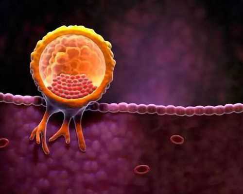 深入探讨输卵管性不孕的诱发因素及2026年辅助生殖技术的风险考量