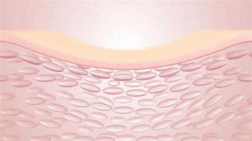 2026年第二代试管婴儿全过程详解：ICSI技术操作流程及注意事项