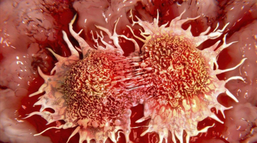 武汉三代试管婴儿全流程高效指南：代生代怀及助孕核心步骤详解